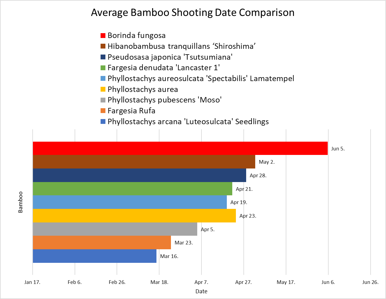 Comparison of bamboo shooting dates